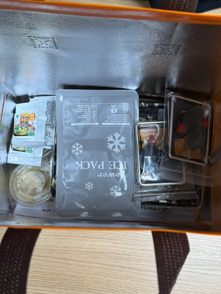 Ice pack and sushi packed inside the insulated bag