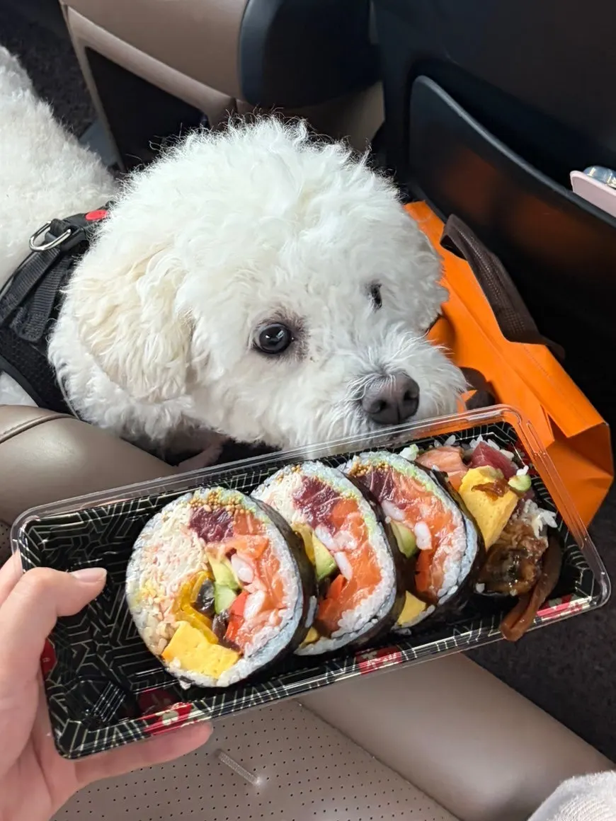 속이 꽉 찬 후토마끼 단면