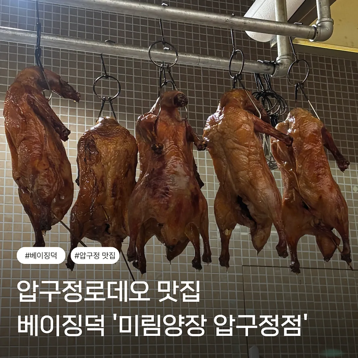 미림양장 압구정점 방문 대표 사진
