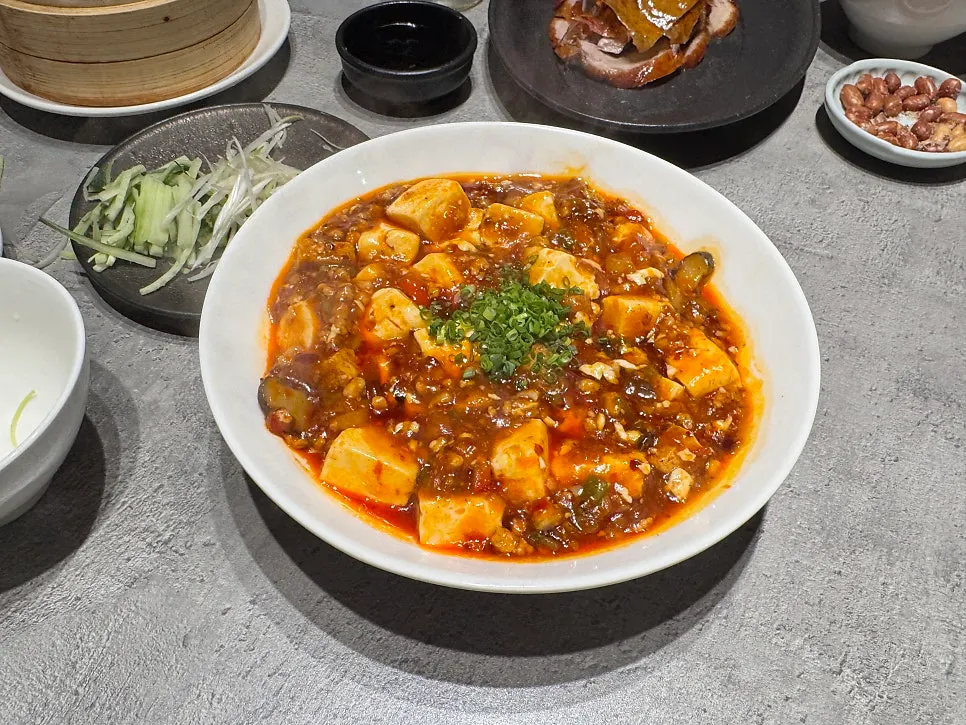 Sichuan-style mapo tofu with steamed rice