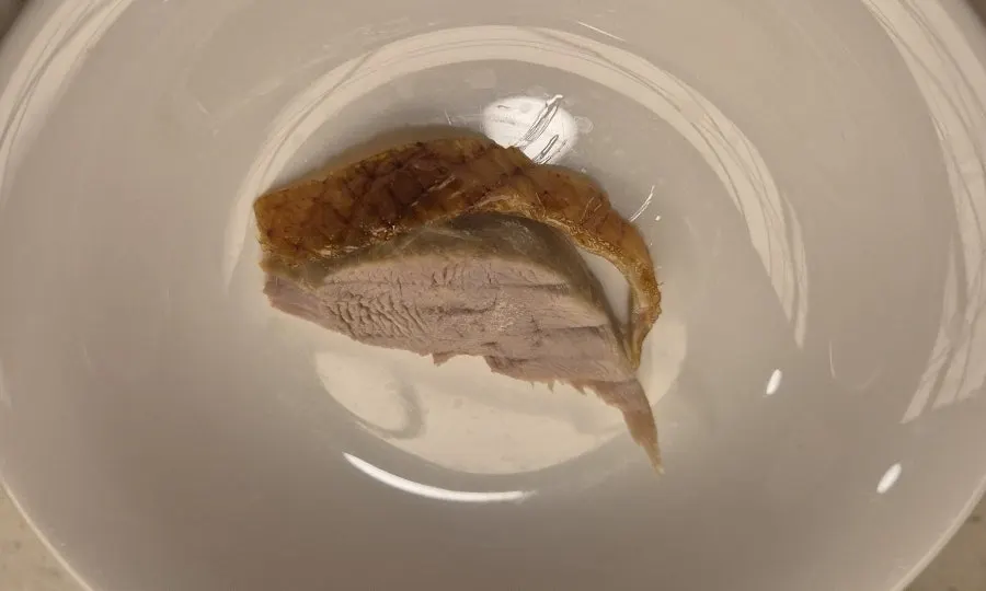 Close-up of the Peking duck skin and meat