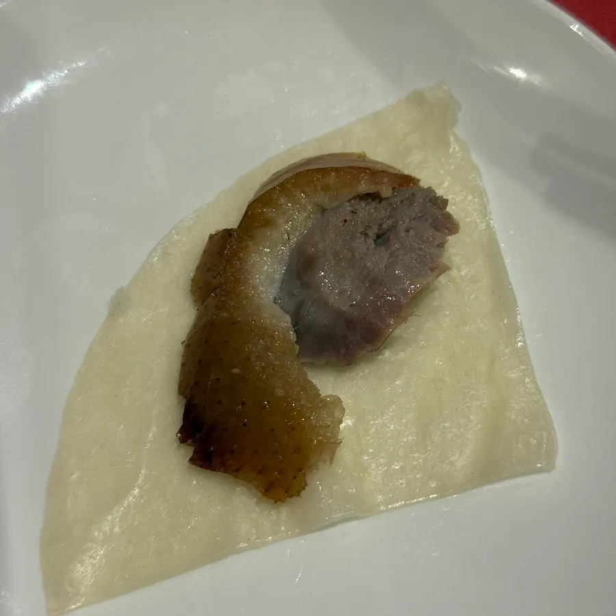 Close-up of the light, savory duck meat
