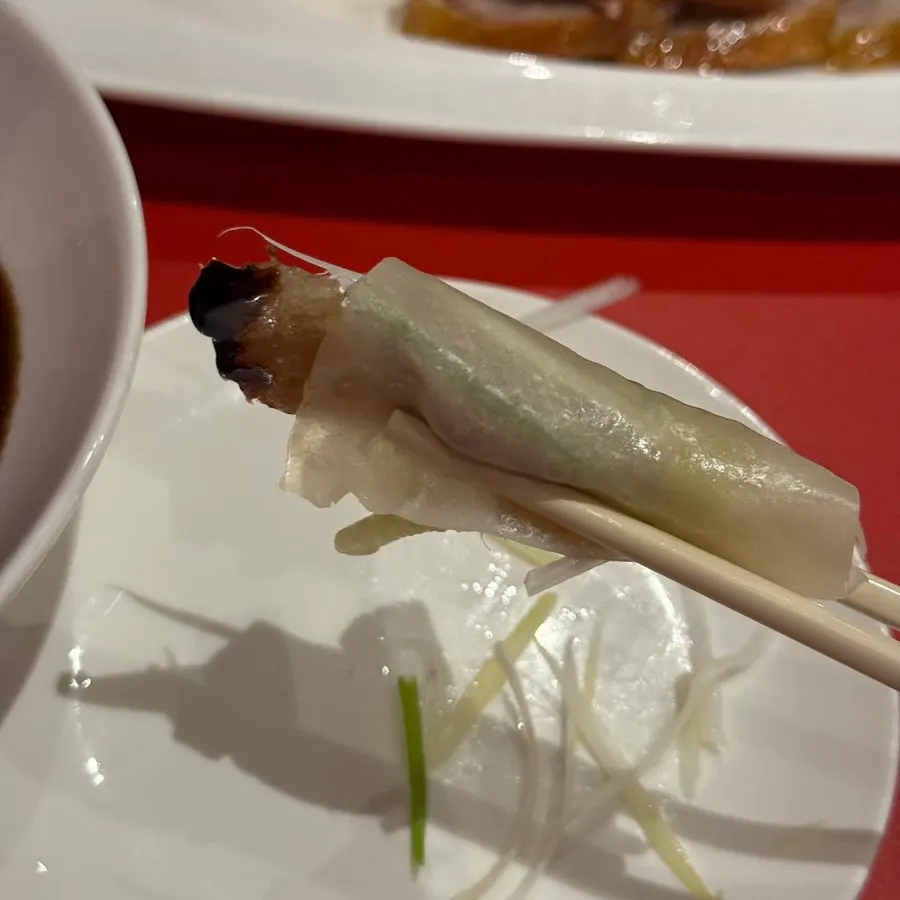 A Peking duck wrap loaded with vegetables