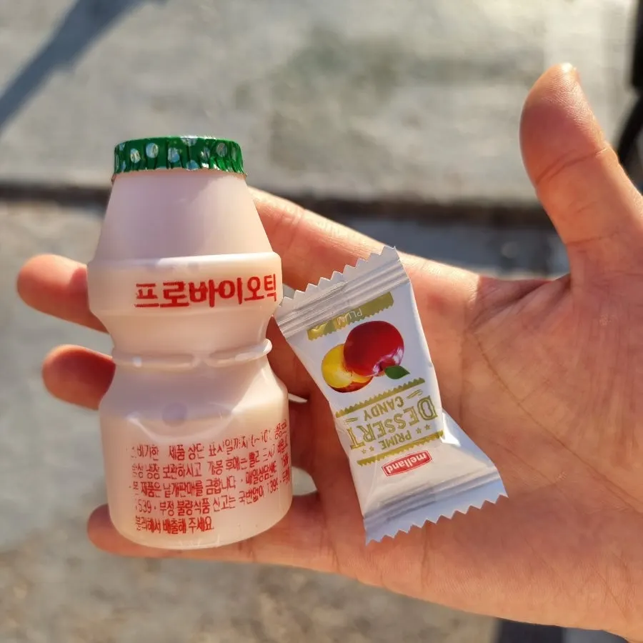 식사 후 후식 요구르트와 사탕