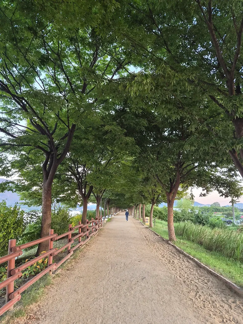Han River walking path in front of Bokkeriu