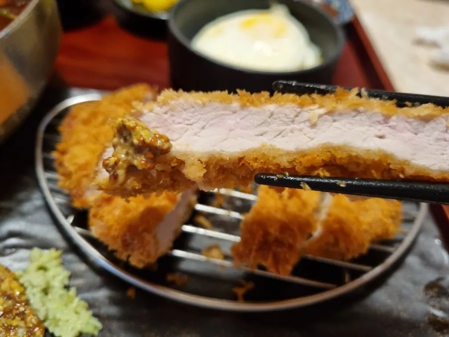 A piece of tonkatsu with thin breading