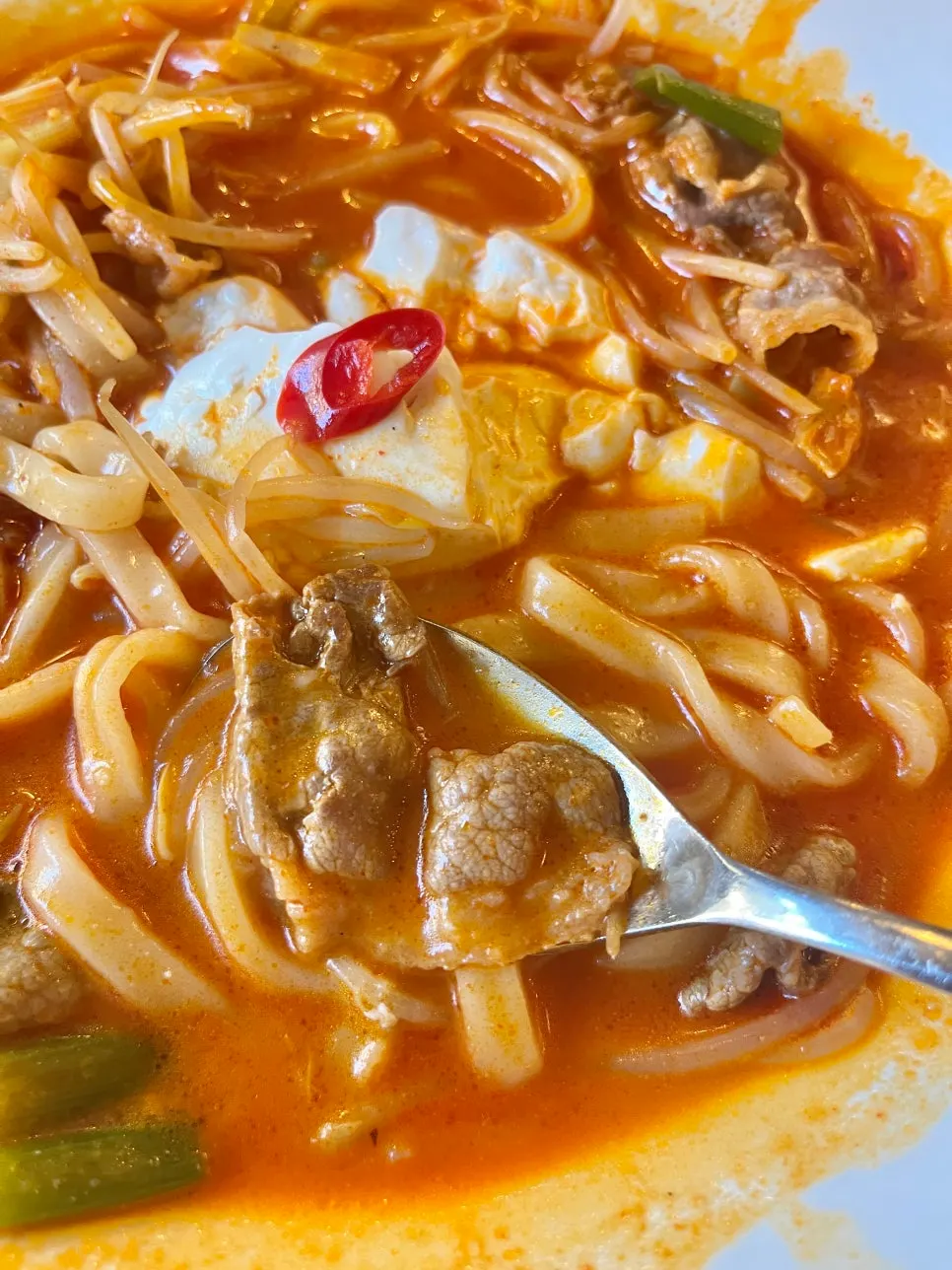Kalguksu noodles and beef brisket lifted from the bowl