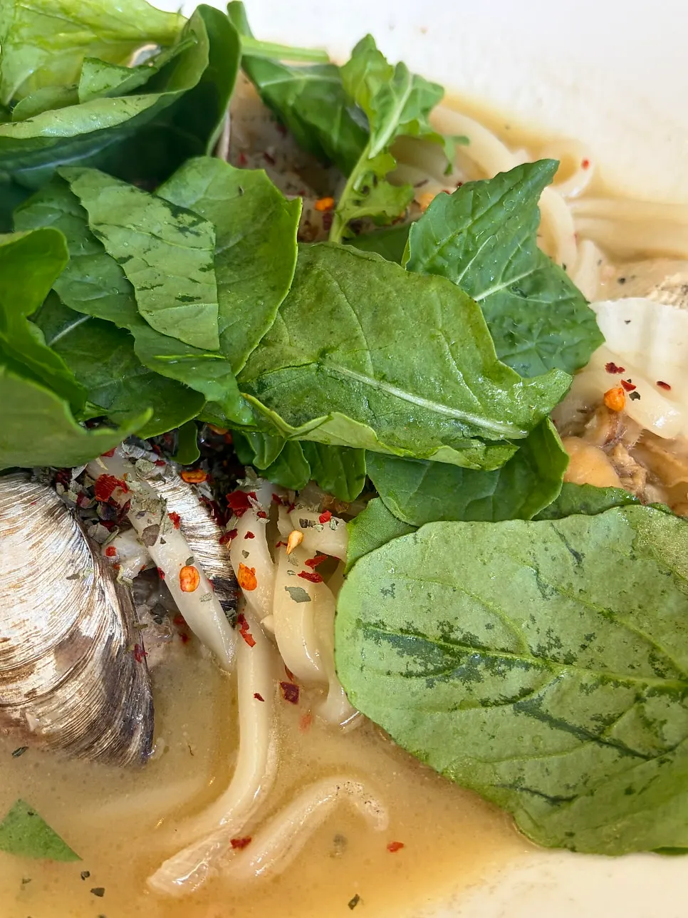 Moa Gangnam's vongole kalguksu
