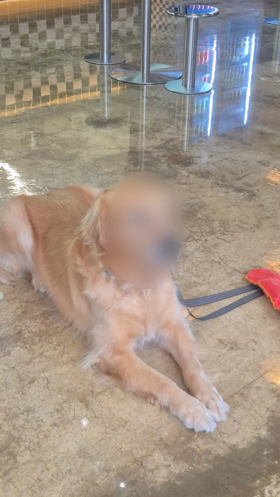 모아나버거 실내 인테리어