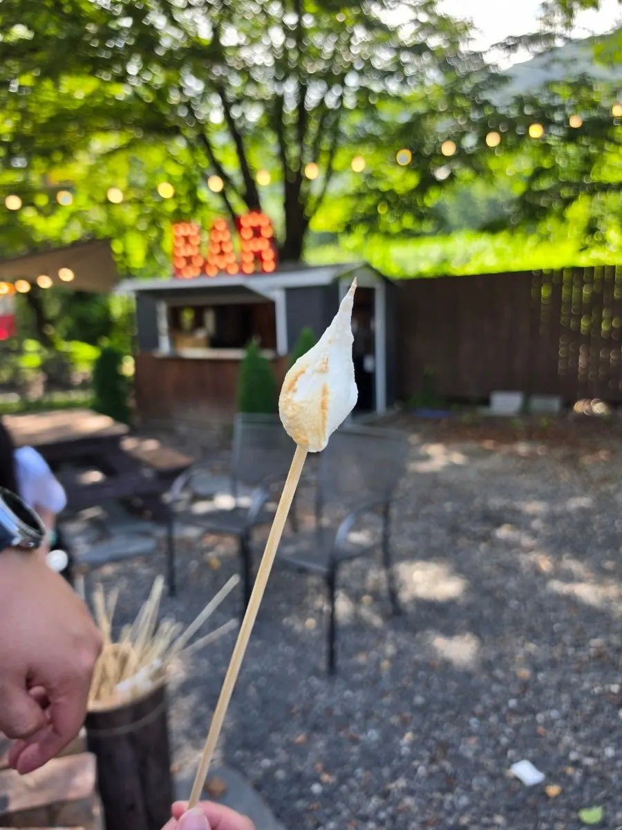 야외 화로에서 구운 마시멜로