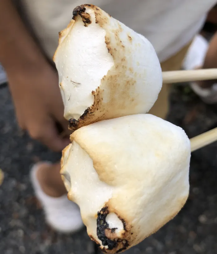장작불에 꼬치 마시멜로우를 굽는 아이