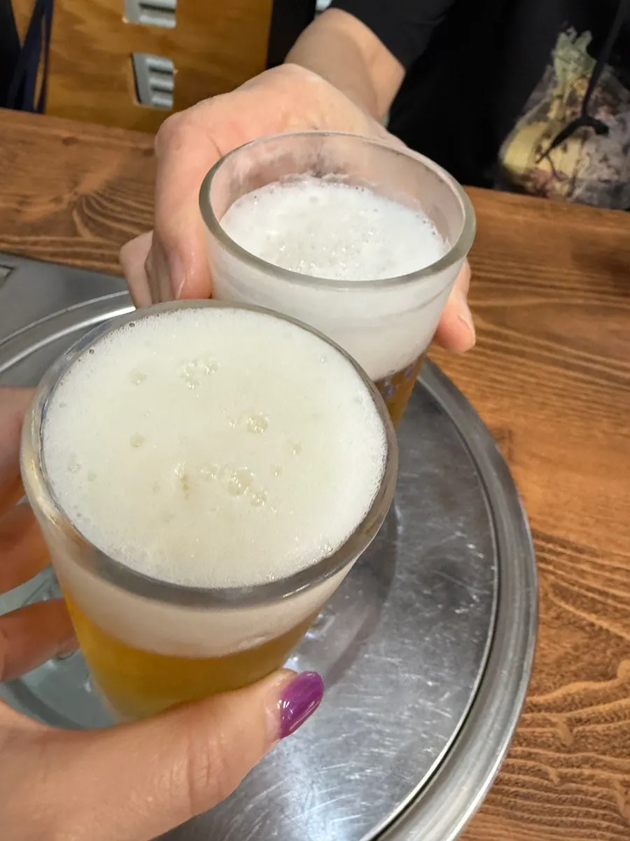 Seafood set and beer on the table