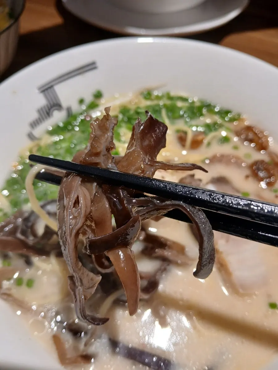 Tonkotsu ramen with scallions