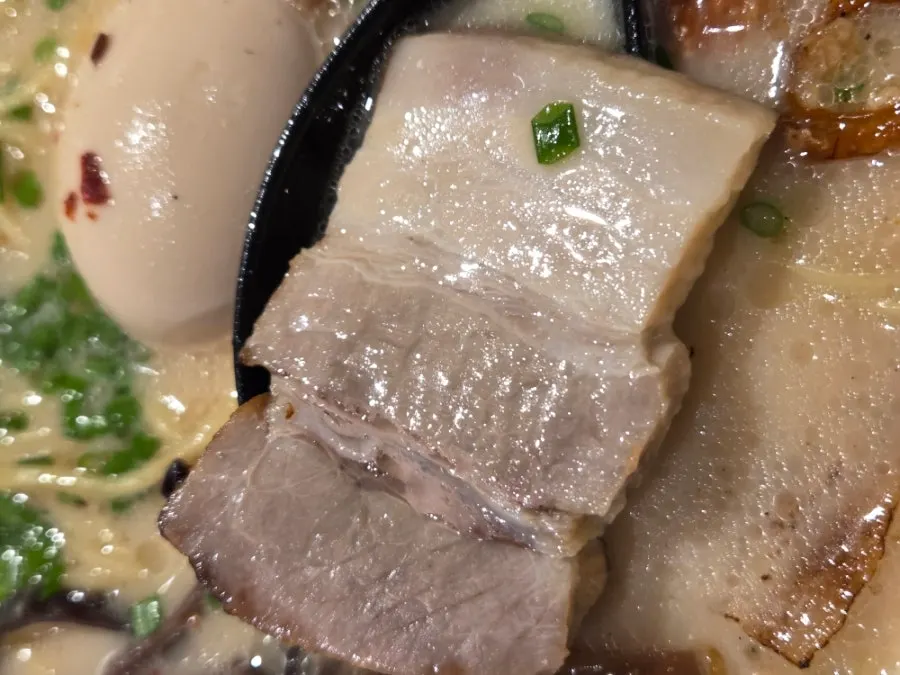 Motsu Ramen broth and pork intestine toppings