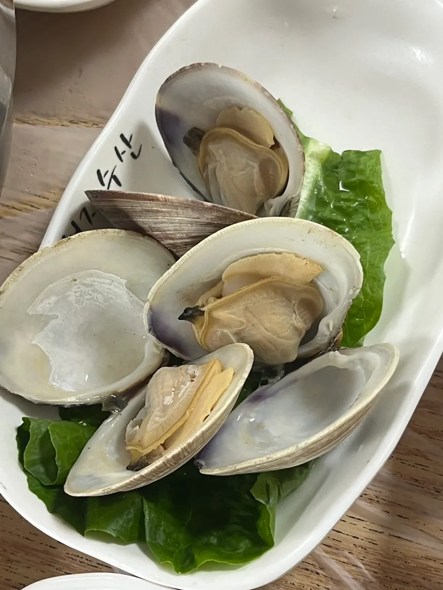 목포 낙지호롱 접시