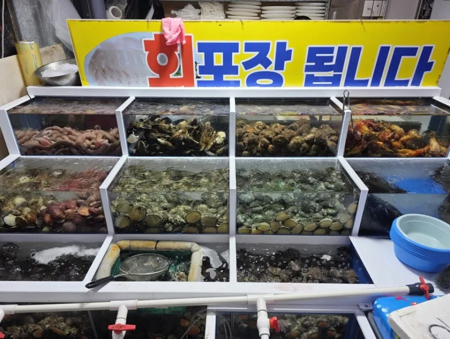 활어 가격과 원산지 표시판