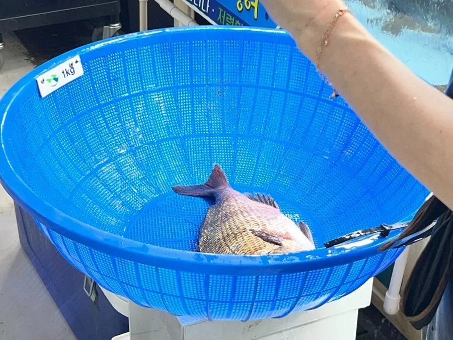 정화네 매장 수족관과 횟감 진열