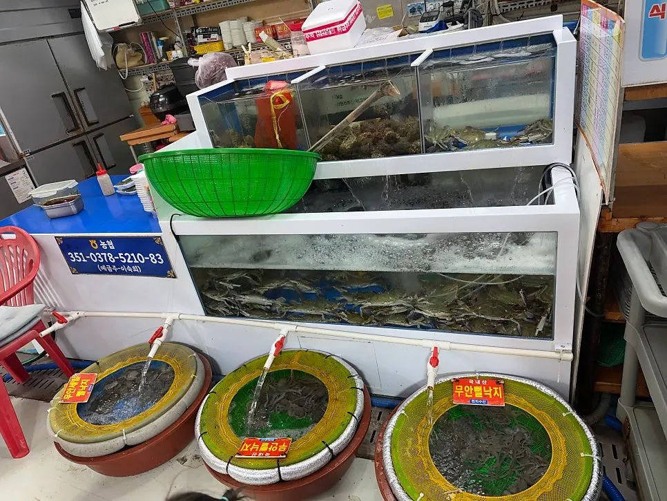 광어 우럭 농어 참돔 등 어종이 적힌 메뉴 안내