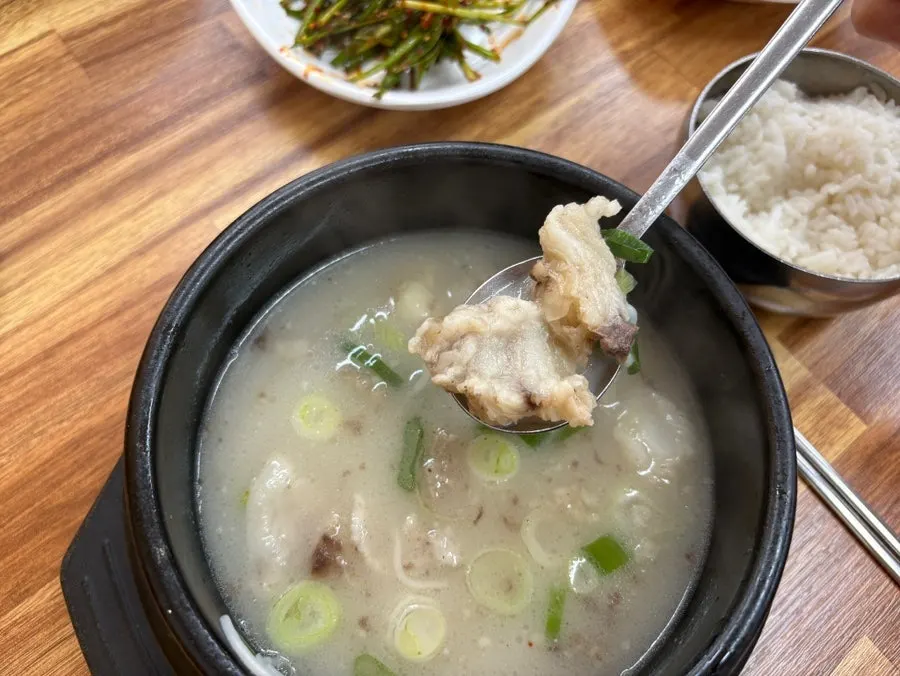 쫀득한 도가니 수육 건져 올린 모습