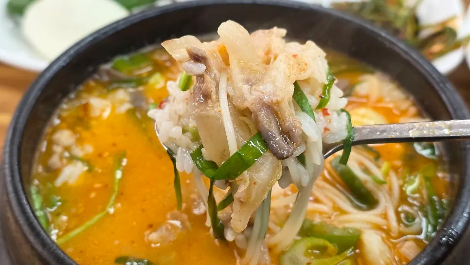 Knee-cartilage soup broth with chive garnish stirred in