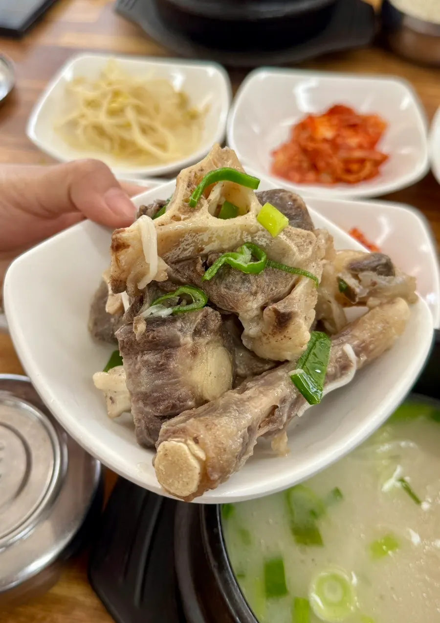 A tail bone lifted out of the soup