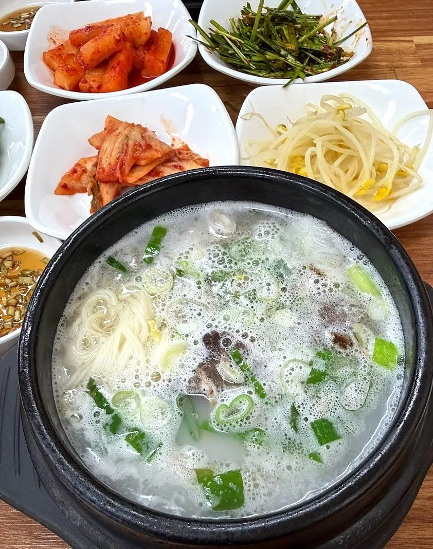 뽀얀 사골국물의 한우꼬리곰탕 한 그릇