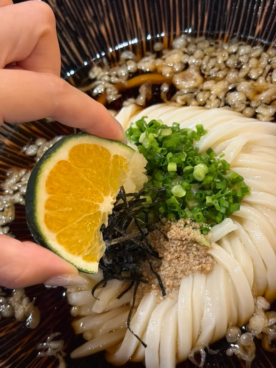 Cold tsuyu bukkake udon