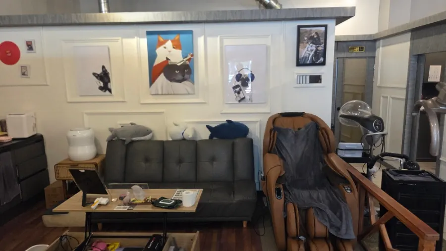 Interior combining hair salon and barbershop vibes