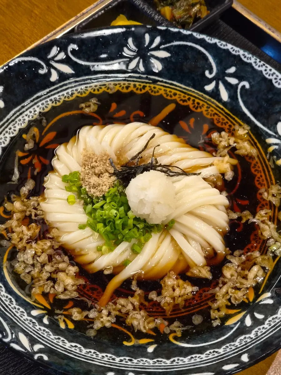 Hot udon noodles lifted from the warm broth