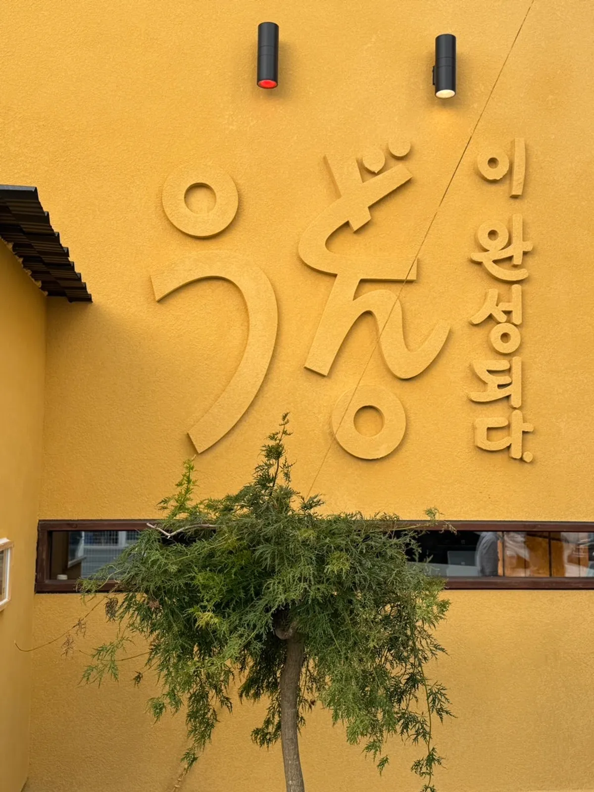Udon-i Wanseongdoeda Mokpo Peace Plaza Branch main photo