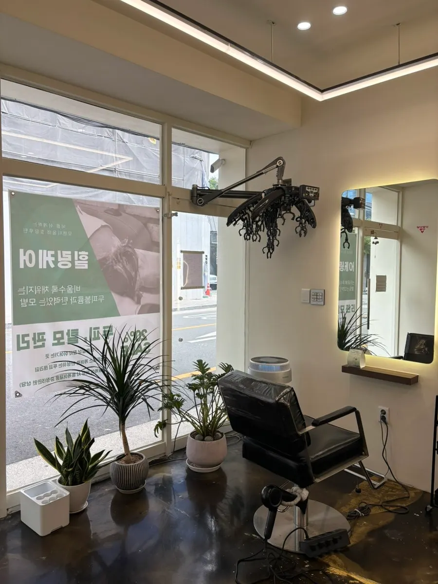 Bright salon interior with full-height windows