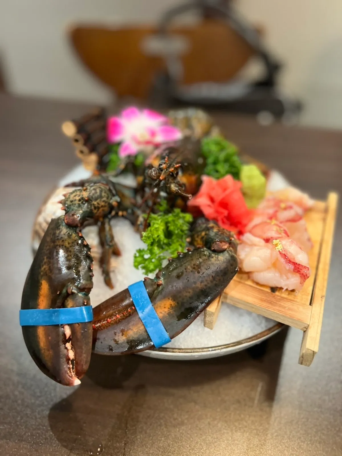 탱글한 랍스터사시미 클로즈업