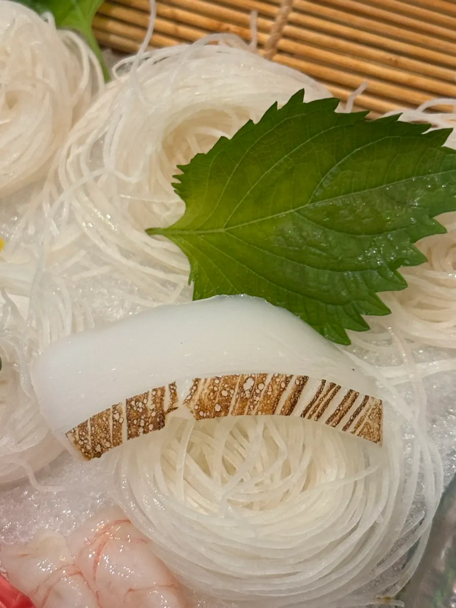 Fresh salmon sashimi