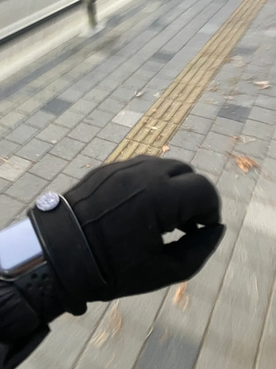 Mongolia gloves worn for a Christmas run
