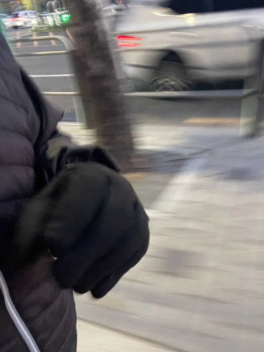 Mongolia gloves on a solo run