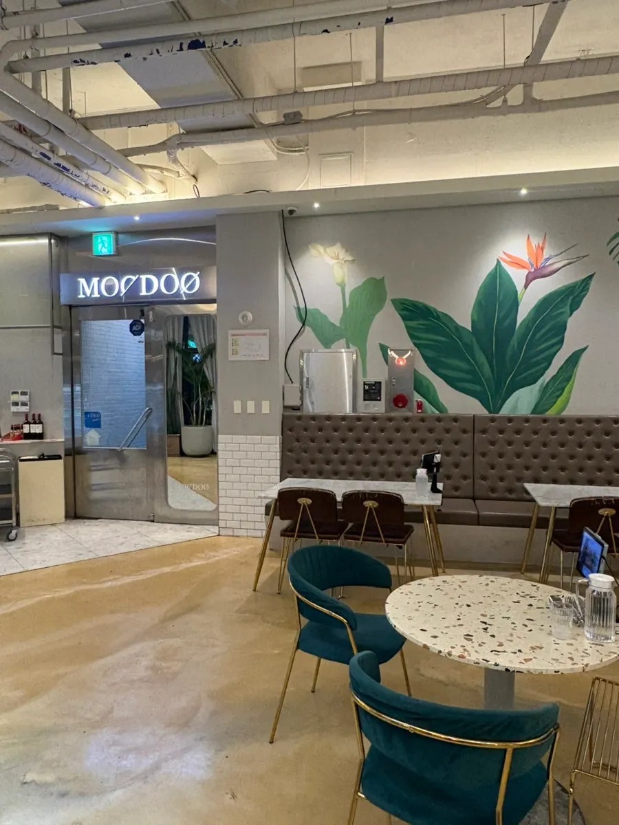Interior with plant illustrations and lighting