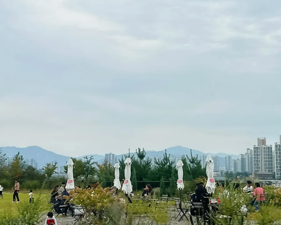Group seating area at Moonbird