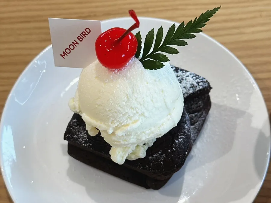 Moonbird's real brownie ice cream