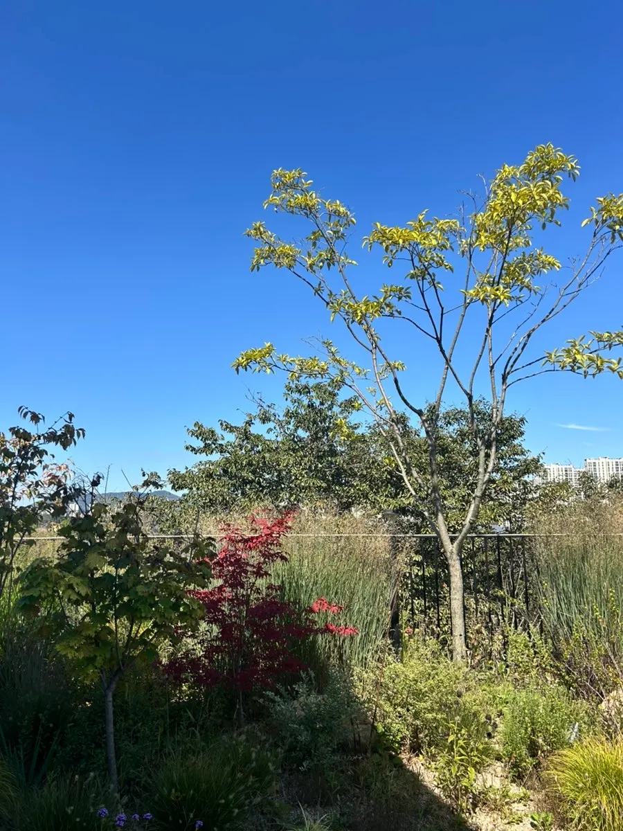 Garden table with a view at Moonbird