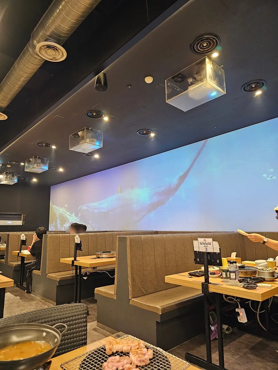 Wall with a projector playing aquarium footage