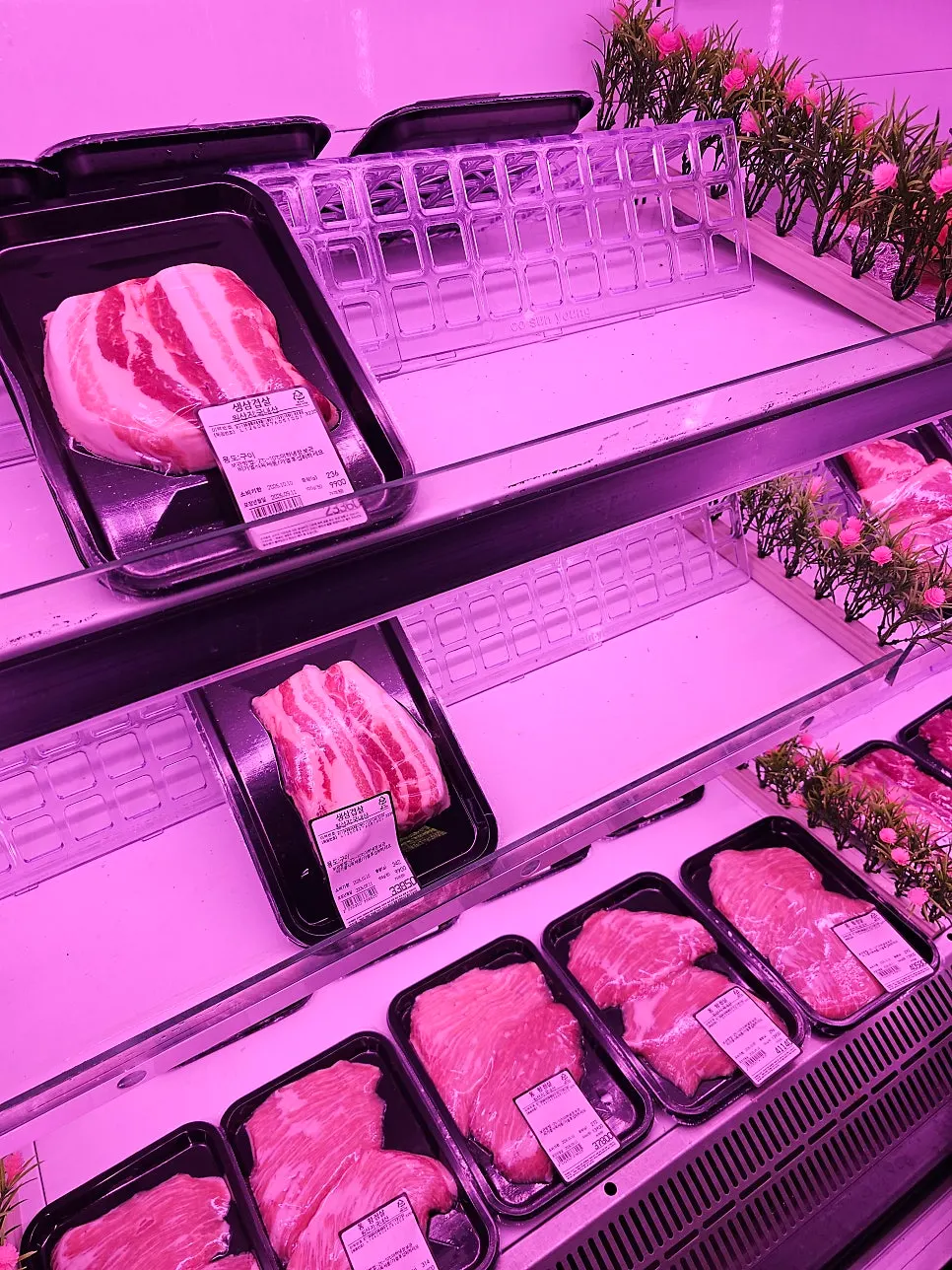 Domestic pork belly and galbisal in the display case