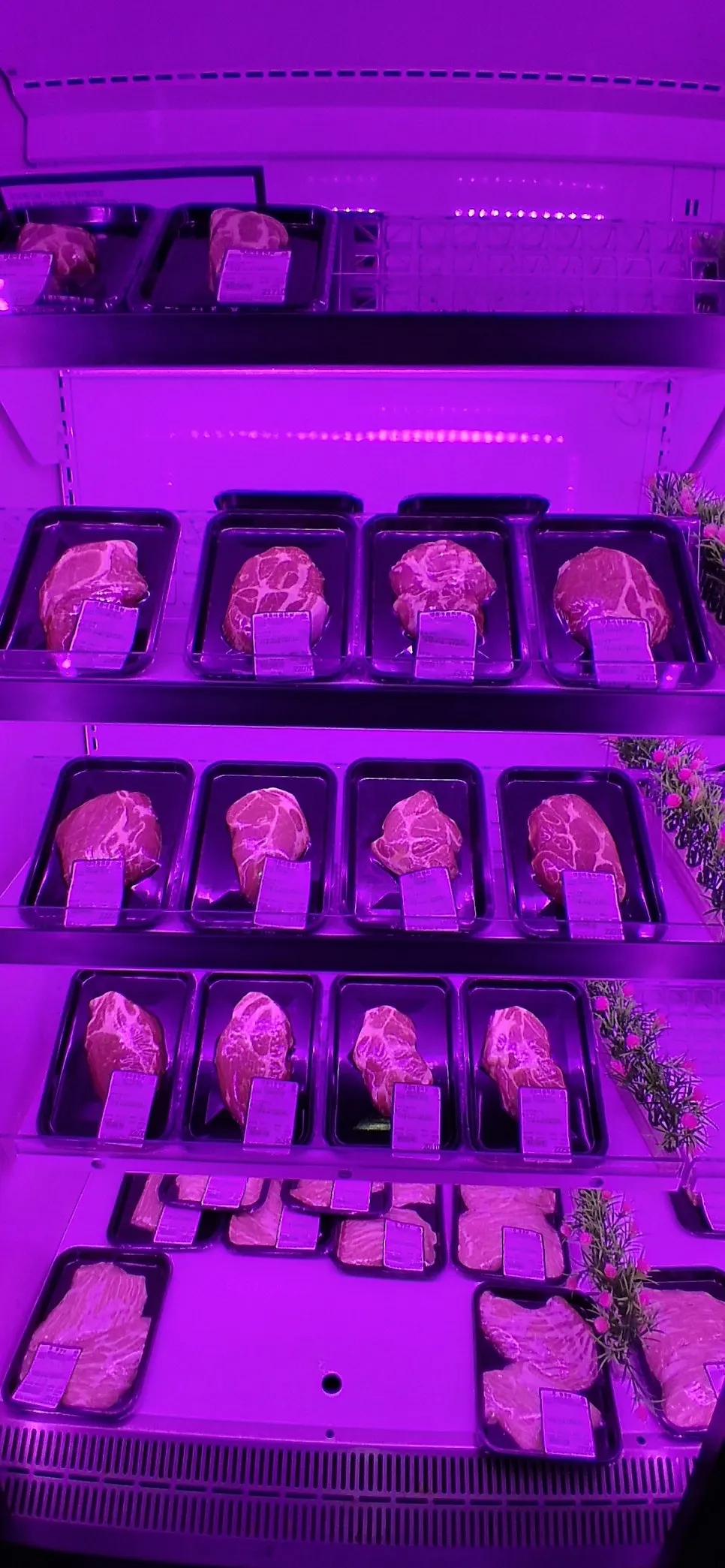 Meat fridge displaying various beef cuts