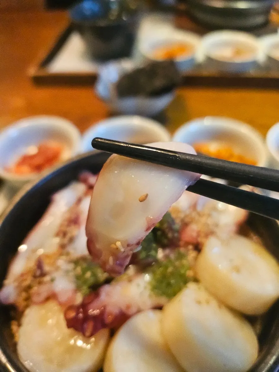 완자를 집어 든 문어완자솥밥