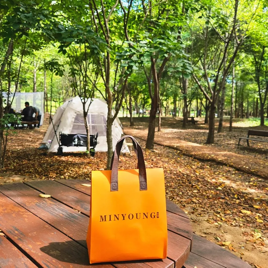 Insulated shopping bag packaging