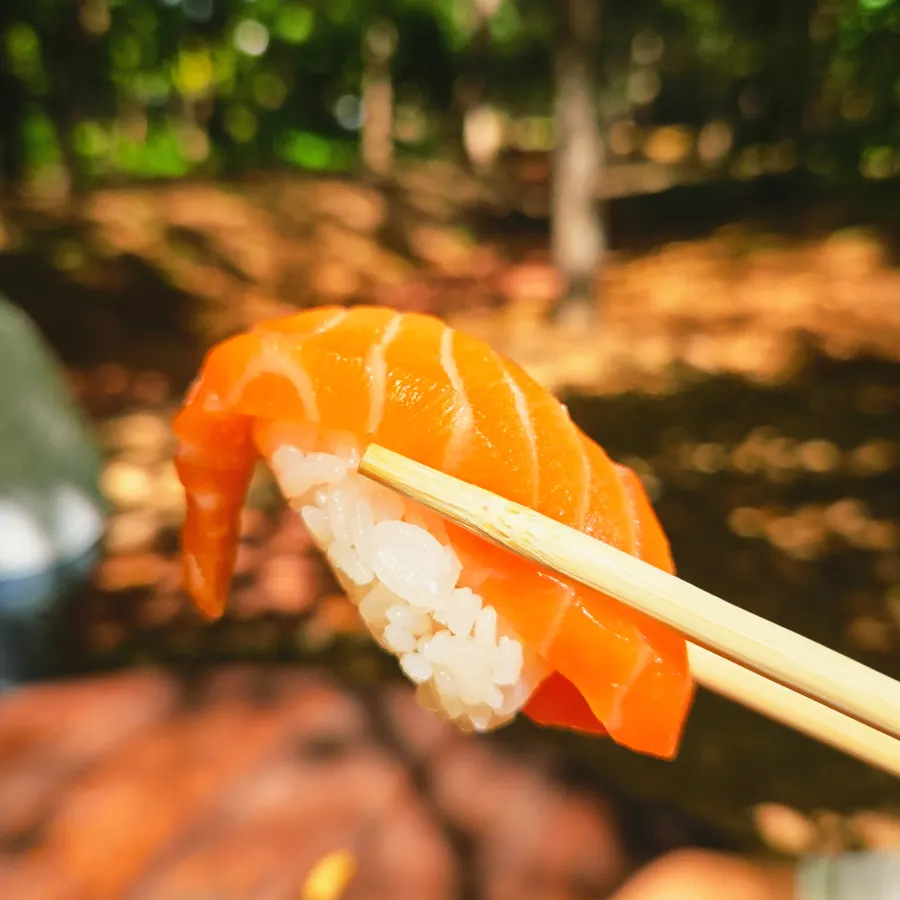 Moraenae Sushi 10pcs topped with flatfish, salmon, and tuna
