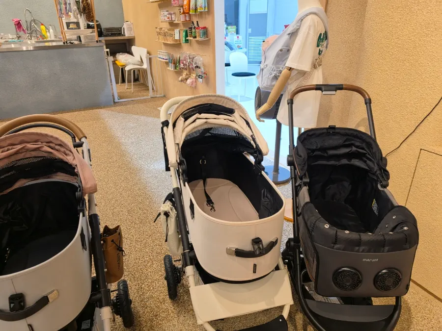 Various dog strollers displayed in the store