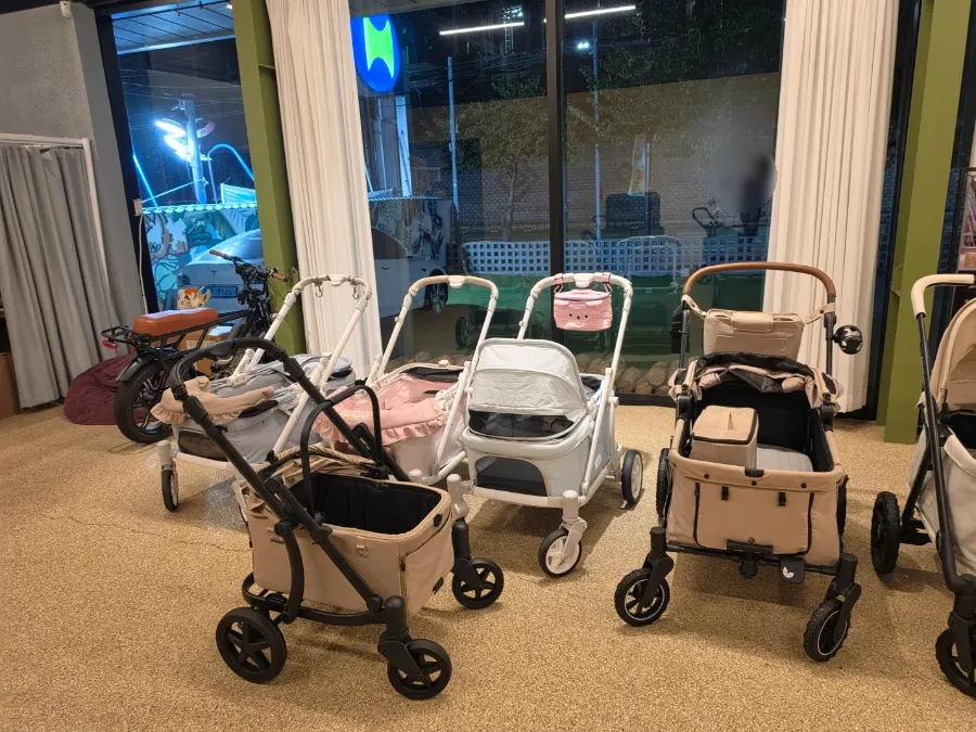 Looking over dog strollers during a staff consultation