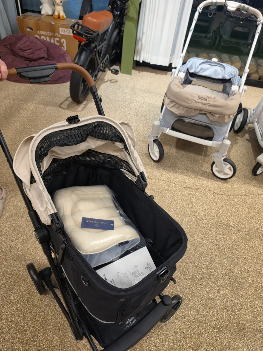 Heading out the day after buying the Notsobig stroller