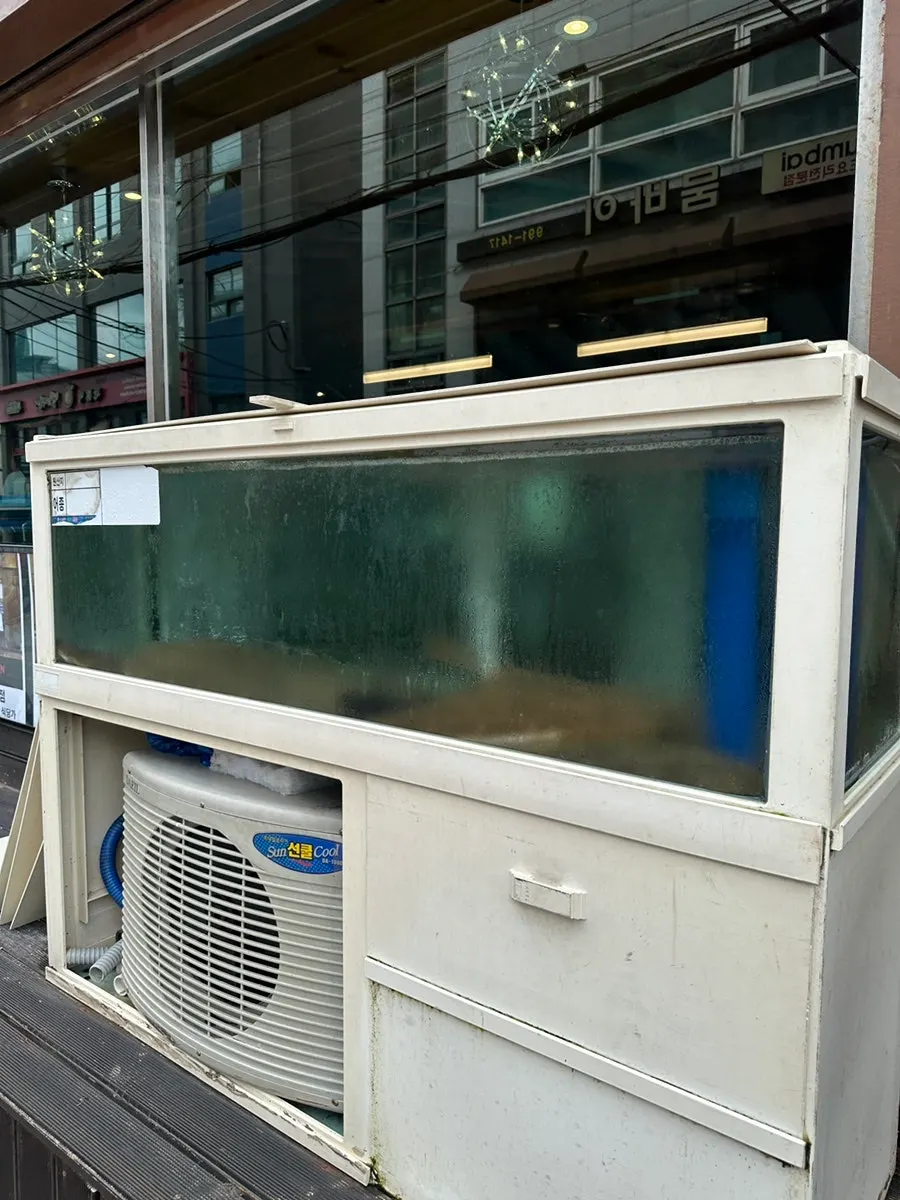 Tank of fresh fish for sashimi outside the restaurant