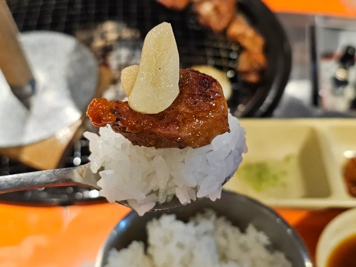 Marinated ribs paired with white rice